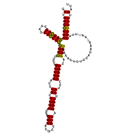 secondary structure