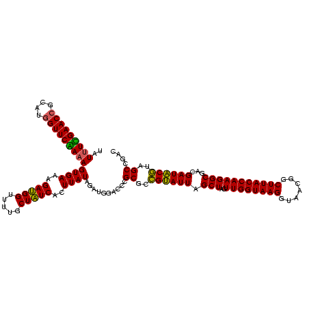secondary structure