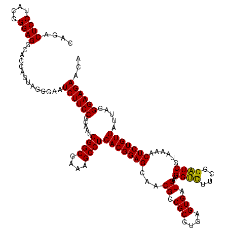 secondary structure