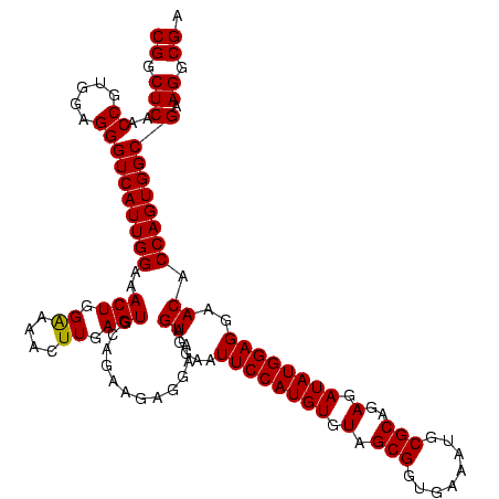 secondary structure