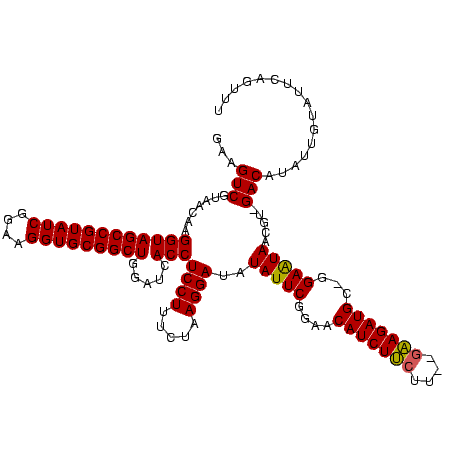 secondary structure