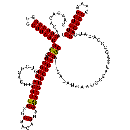 secondary structure