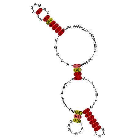 secondary structure