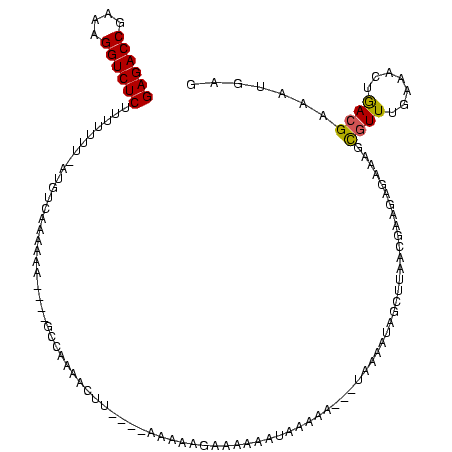 secondary structure