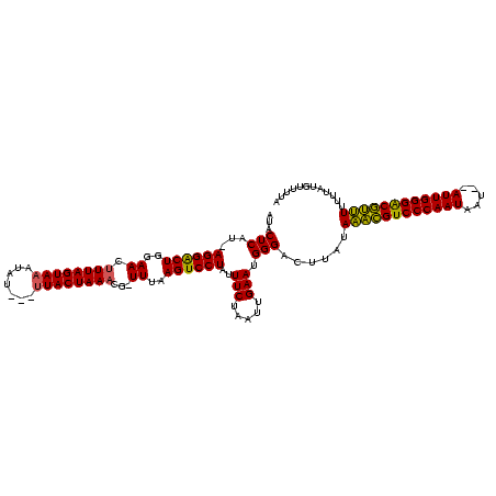 secondary structure