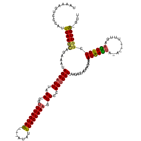 secondary structure