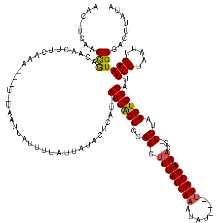 secondary structure
