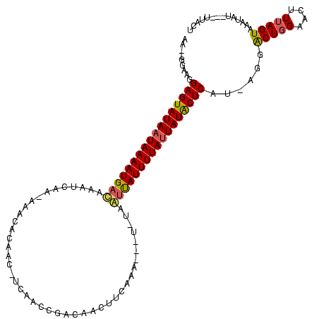 secondary structure