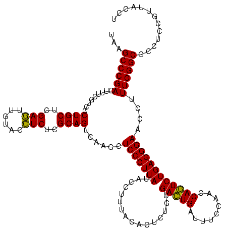 secondary structure