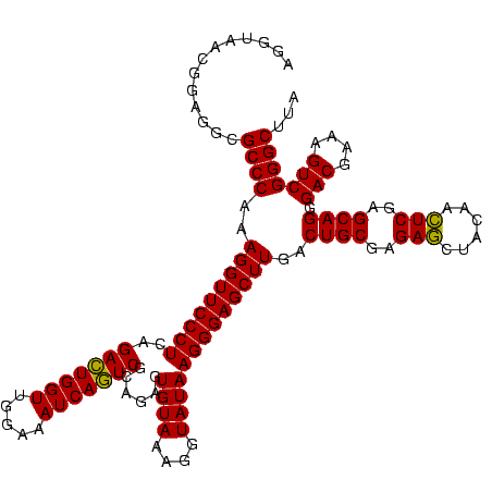 secondary structure