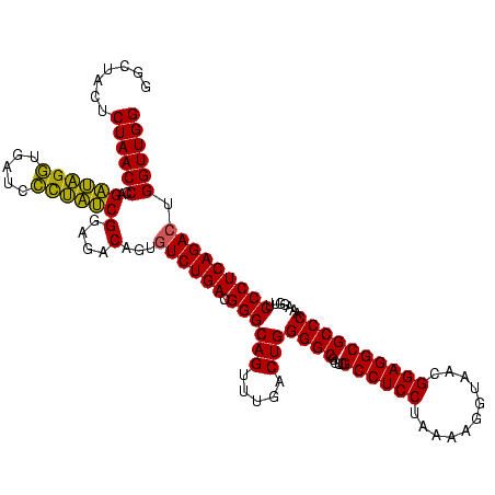secondary structure