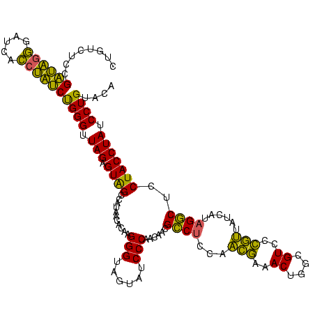 secondary structure
