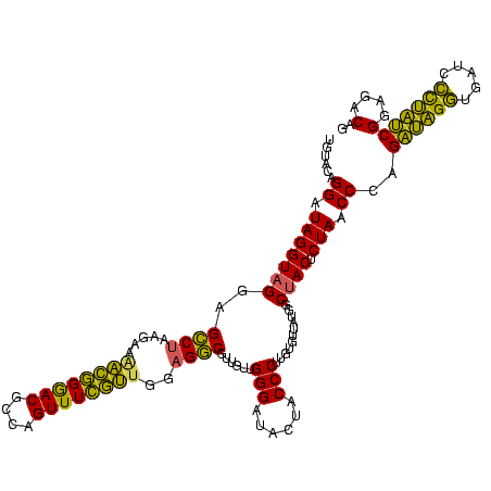 secondary structure