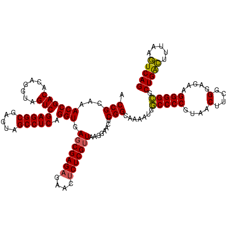 secondary structure