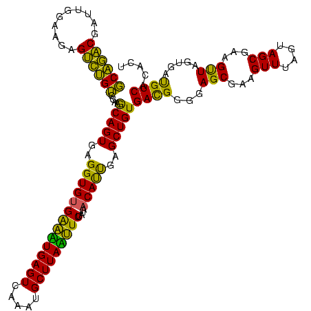 secondary structure