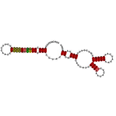 secondary structure