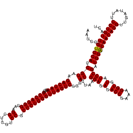 secondary structure