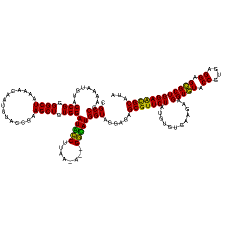 secondary structure