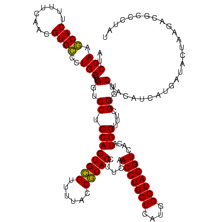 secondary structure