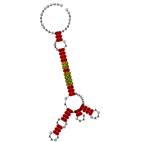 secondary structure