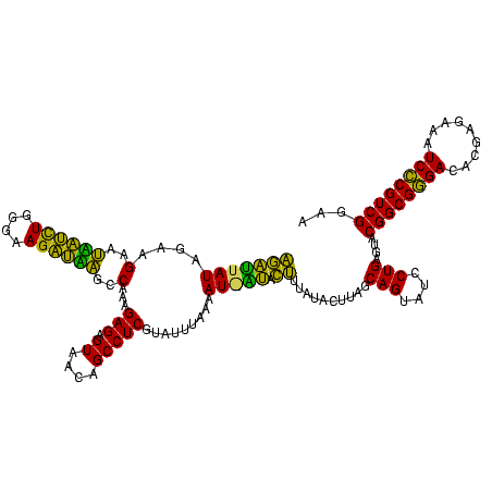 secondary structure