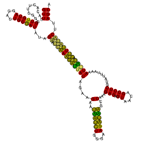 secondary structure