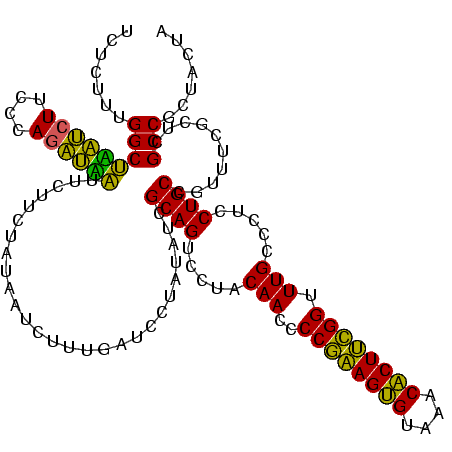 secondary structure