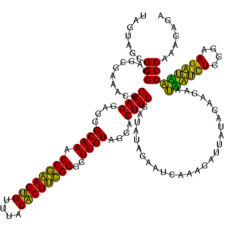 secondary structure
