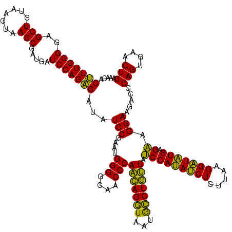 secondary structure