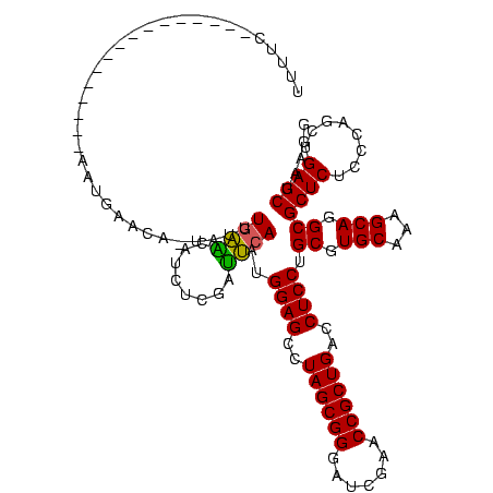 secondary structure