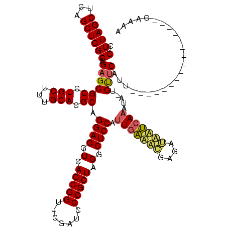 secondary structure