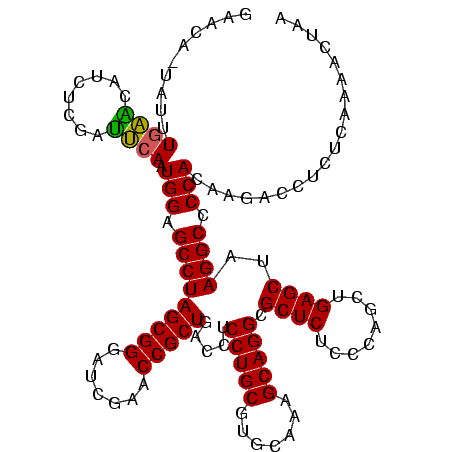 secondary structure