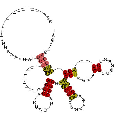 secondary structure