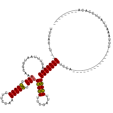secondary structure