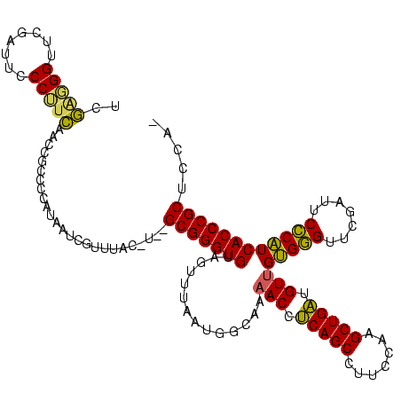 secondary structure