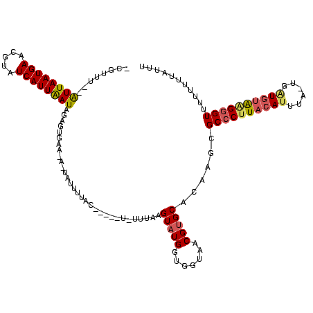 secondary structure