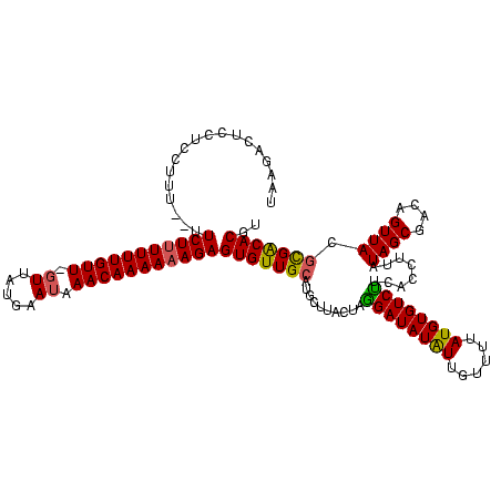 secondary structure