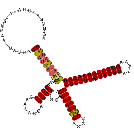 secondary structure