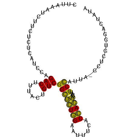 secondary structure