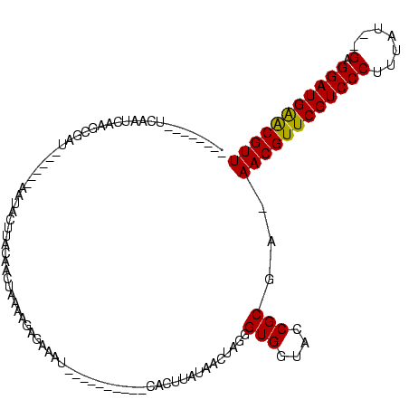 secondary structure