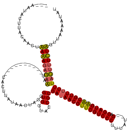secondary structure