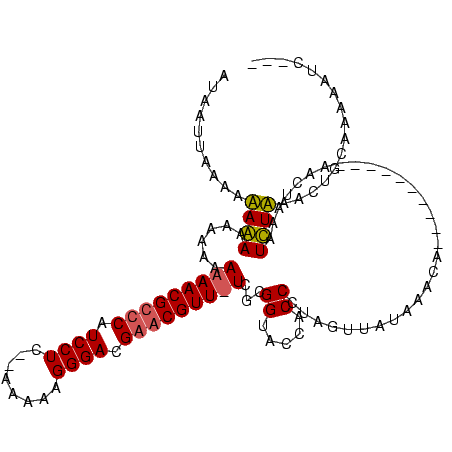 secondary structure