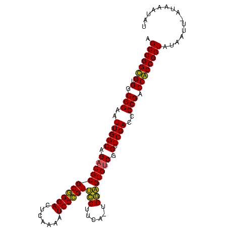 secondary structure
