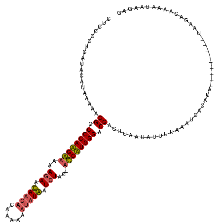 secondary structure