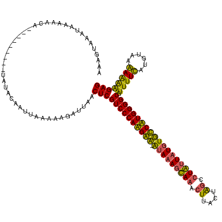 secondary structure
