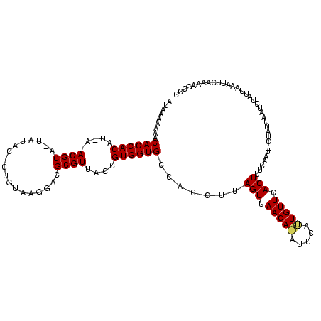 secondary structure