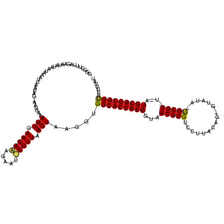 secondary structure