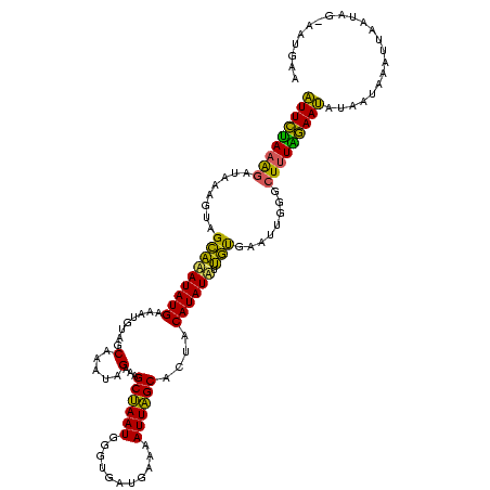 secondary structure