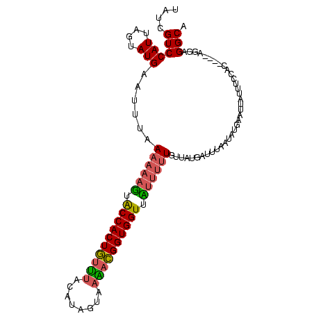 secondary structure