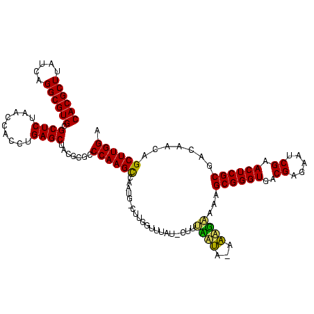 secondary structure